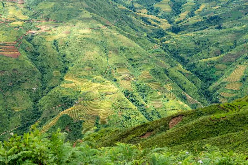 2025年华南地区商贸服务行业食品饮料供应链质量管控新标准解析